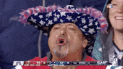 New England Patriots Football GIF by NFL