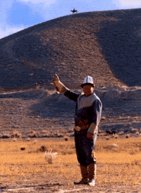 Golden Eagle Mongolia GIF