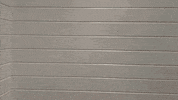 FlyWheelPartners hc2020poemline2 GIF