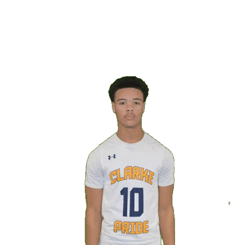 Mens Basketball Sticker by Clarke University