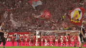 team fans GIF by FC Bayern Munich