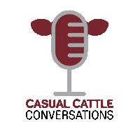 Podcast Cowboy Sticker by BullPEN