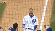 home david GIF by MLB