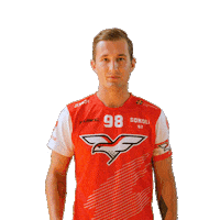 Floorball Hales Sticker by Český florbal