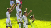 Team Spirit Win GIF by SK Sturm Graz