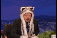 SpiritHood cat cats kitty rawr GIF