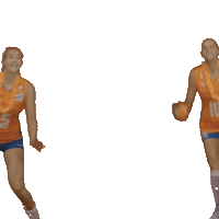 Volleybal Sticker by Nevobo