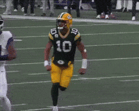 Green Bay Packers GIF