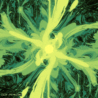 Loop Flower GIF by Psyklon