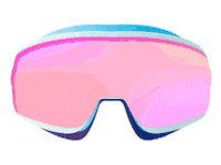 Snowboarding Apres Ski Sticker by Lifestylez Tours