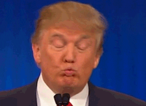 Political gif. Trump at a microphone, his eyes closed and his lips pursed, rocks his head back and forth in a perfect loop. 