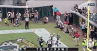Jacksonville Jaguars Football GIF by NFL