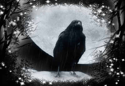 moon GIF