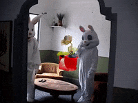 rohmontgomery rick ricky rickymontgomery type a GIF