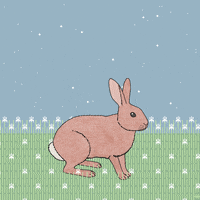 GIF by Trevor Anderson