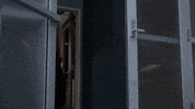 grey's anatomy levi schmitt GIF by ABC Network