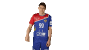 National Team Sport Sticker by Rushandball