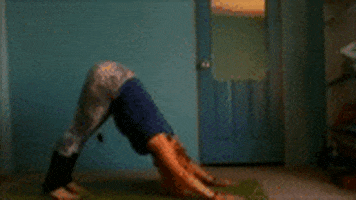 yoga GIF