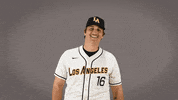 Cal State La Baseball GIF by Cal State LA Golden Eagles