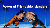 New York Islanders GIF