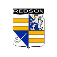 Rs Zurich Sticker by Swiss Hockey