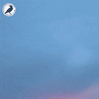 Excited Clap GIF by Minneapolis City SC