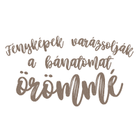 fatalerrorzenekar rock foto magyarzene kep Sticker