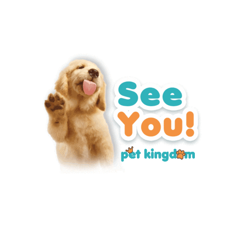 Dog Pet Sticker by DM KLR