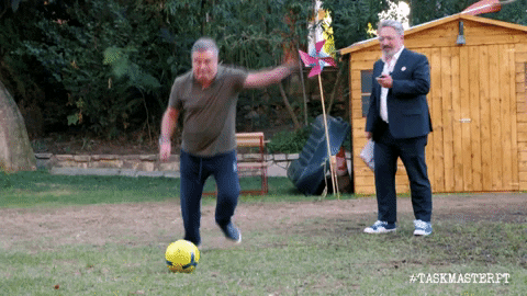 GIF by Taskmaster Portugal