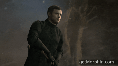 Game Of Thrones Fighting GIF by Morphin