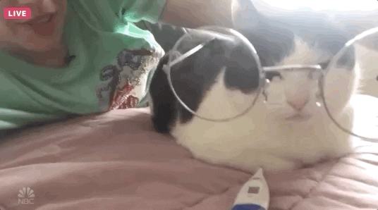 Kate Mckinnon Snl GIF by Saturday Night Live