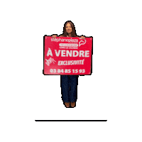 Plazalonslesaunier Sticker by Stéphane Plaza Immobilier