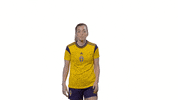 Linda Sembrant Sport GIF by Swedish Football Association