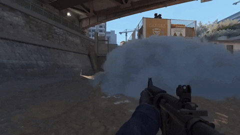 PCGRich giphygifmaker counter-strike 2 GIF