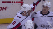 ice hockey GIF by NHL