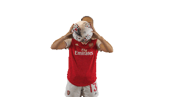 Arsenal Women Soccer Sticker by Barclays FAWSL