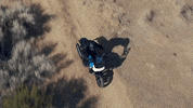 Ride GIF by Harley-Davidson