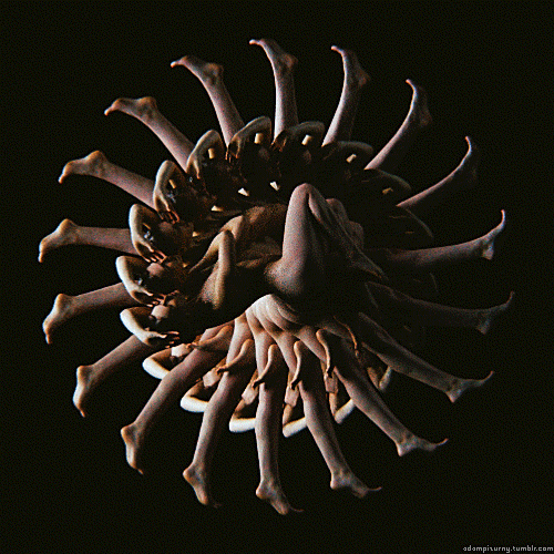 what is the purpose of always posting this crap? GIF by adampizurny