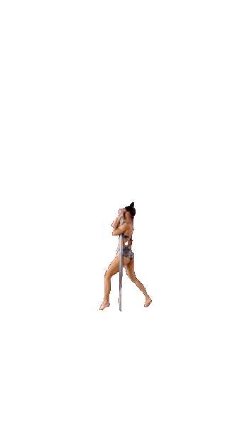 Poledanceacademypraha poledance pda poledanceacademy pdinvert Sticker