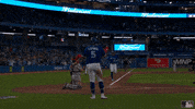 Major League Baseball Sport GIF by MLB