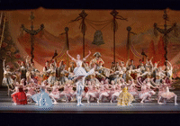 dance GIF by New York City Ballet