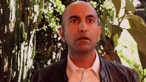 rajiv satyal indian comedian GIF by Funny Indian