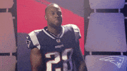2018 Nfl Football GIF by New England Patriots