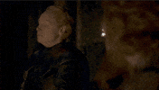 game of thrones brienne becomes a knight GIF by Vulture.com