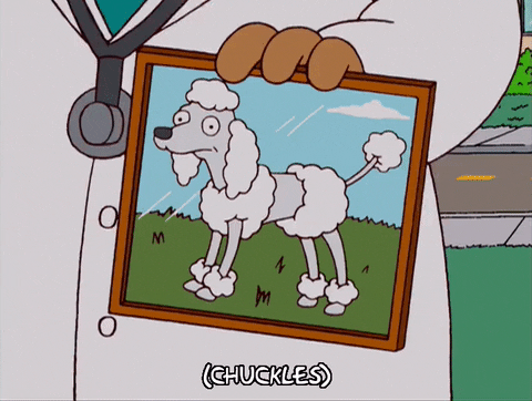 season 15 dog GIF