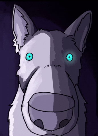 crunchybunchee dog staring husky crispygraype GIF