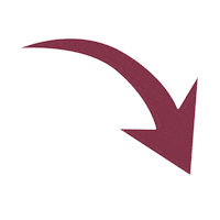 Red Arrow Sticker by University of Winchester