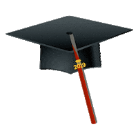 Class Of College Sticker by Illinois Institute of Technology