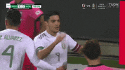 Futbol Mexicano Football GIF by MiSelecciónMX