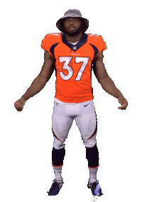 Denver Broncos Stickers Sticker by NFL